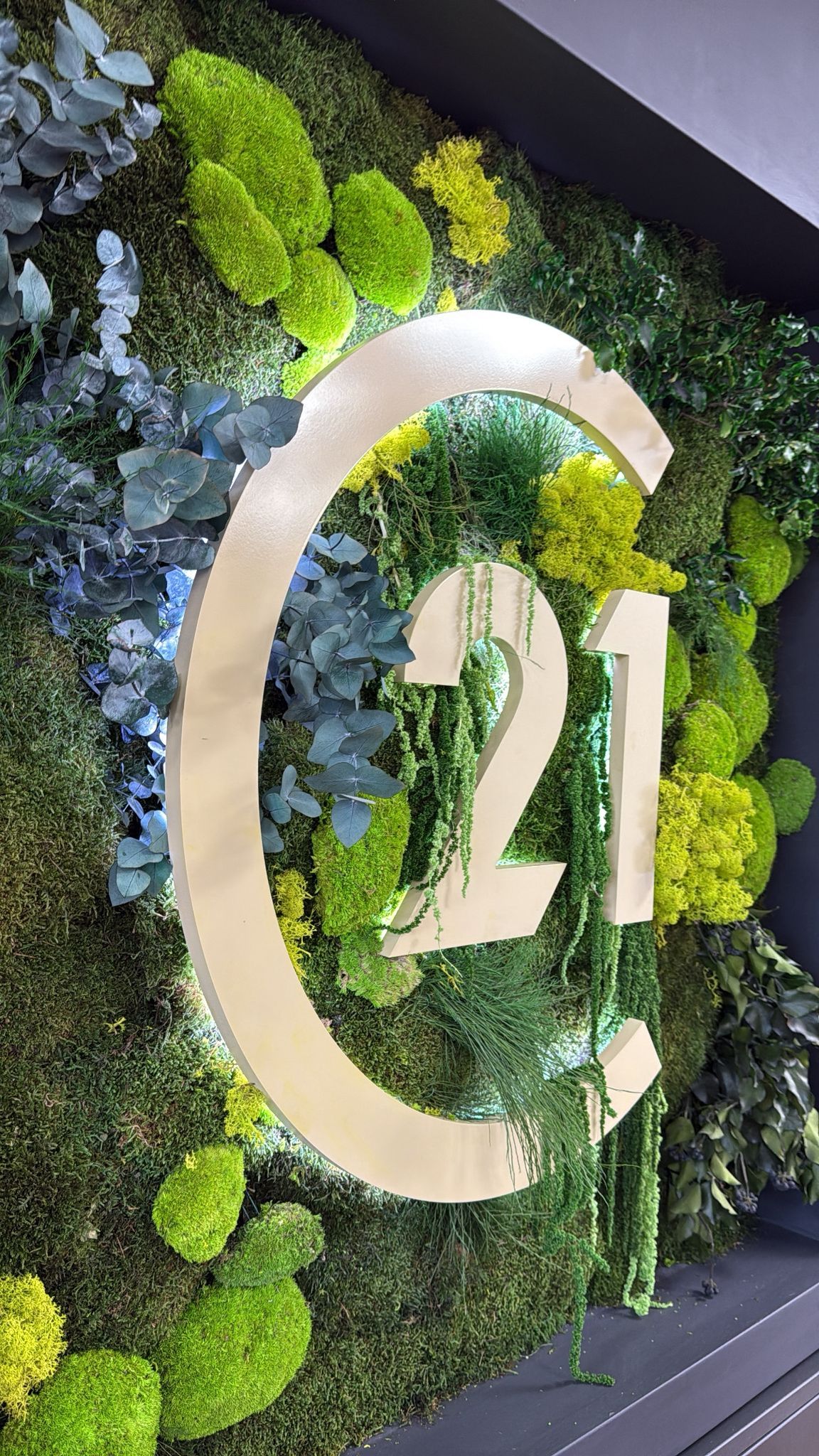 CENTURY 21 Bétulo